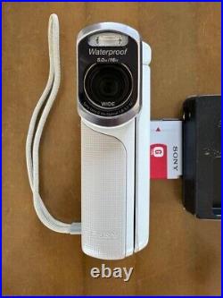 SONY HDR-GW77V Digital HD Video Camera Recorder Handycam From Japan